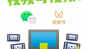 微信公众号视频下载器