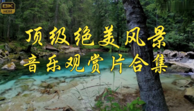 音乐观赏片大<strong>合集</strong>（绝美风景视觉盛宴）
