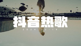 2025一人一首成名曲（<strong>抖音</strong>网红篇）