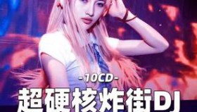 DISCO顶级车载<strong>DJ</strong>英文串嗨（高速兴奋剂 私货珍藏）