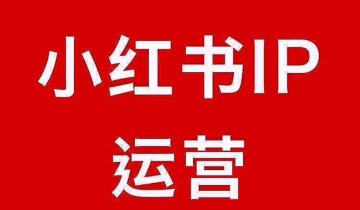 谢无敌 小红书运营大宝典 从0带你做个赚钱的小红书IP