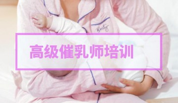 高级催乳师精品课程合集