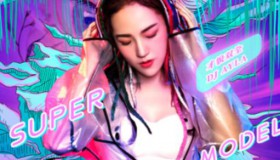 车载<strong>DJ</strong>串烧无损歌曲合集300首