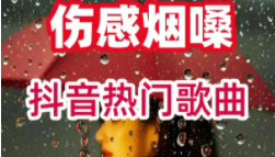 <strong>抖音</strong>烟嗓伤感音乐歌曲合集