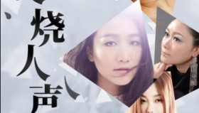 磁性HiFi发烧人声无损音质200首合集