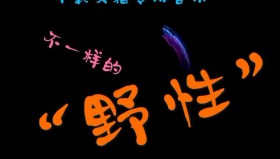 3068首开车嗨曲<strong>合集</strong>