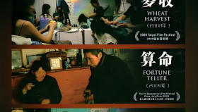 徐童纪录片游民三部曲 [算命+麦收+老唐头]