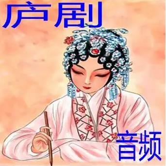 安徽庐剧视频大全