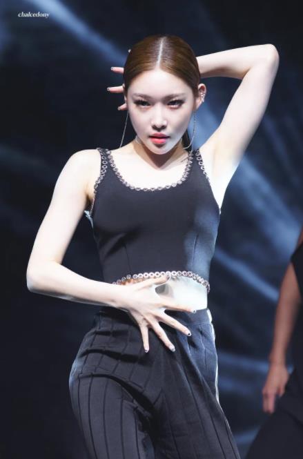 金请夏的全部29张歌曲专辑<strong>合集</strong>