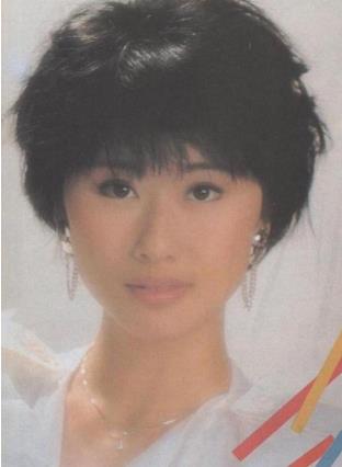 叶倩文的歌曲大全（35CD音乐作品合集）