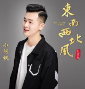 小阿枫的所有翻唱歌曲大全