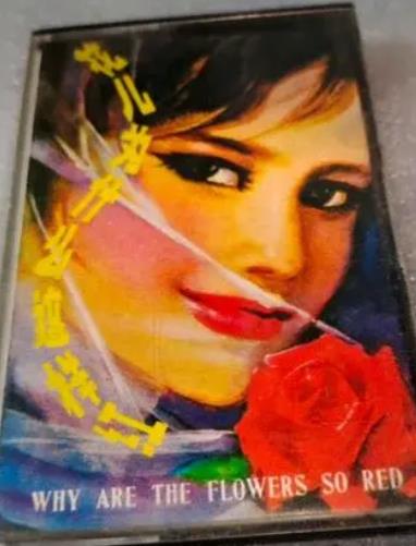 共356首绝版歌曲大<strong>合集</strong>