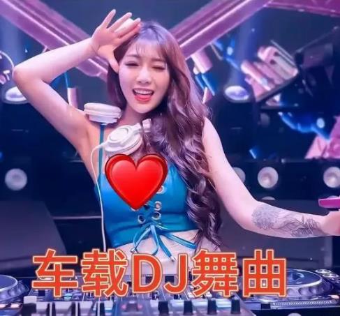 2024年最新整理车载<strong>DJ</strong>（轻松开一路）